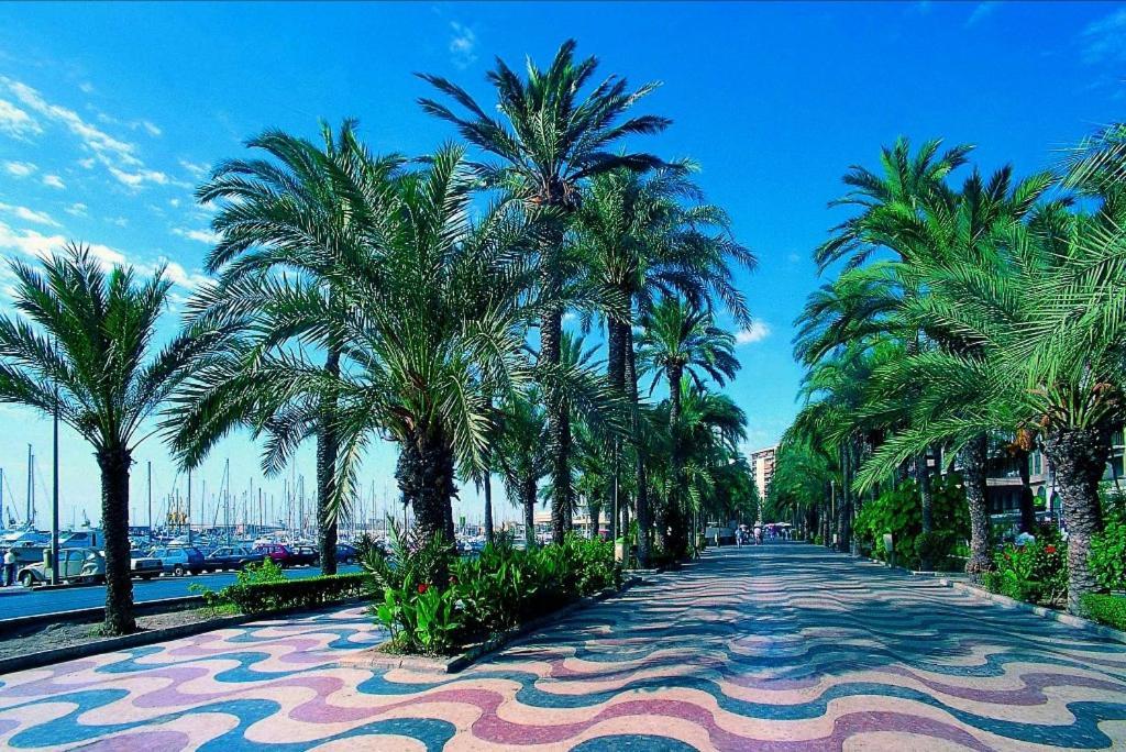 Charming Apartment In Alicante Near The Sea & City Center المظهر الخارجي الصورة